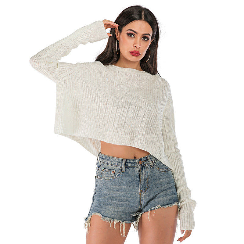 Basic Crew Neck Cropped Knit Sweater