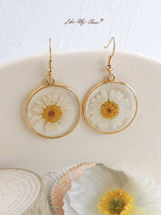 Pressed Flower Earrings - White Daisies