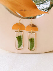 Window-shaped Brass Frames Pressed Fern Earrings