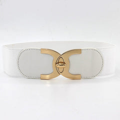 The Celsius Waistband Belt - Multiple Colors