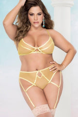 Mesh Bra And Garter Set | Plus Size