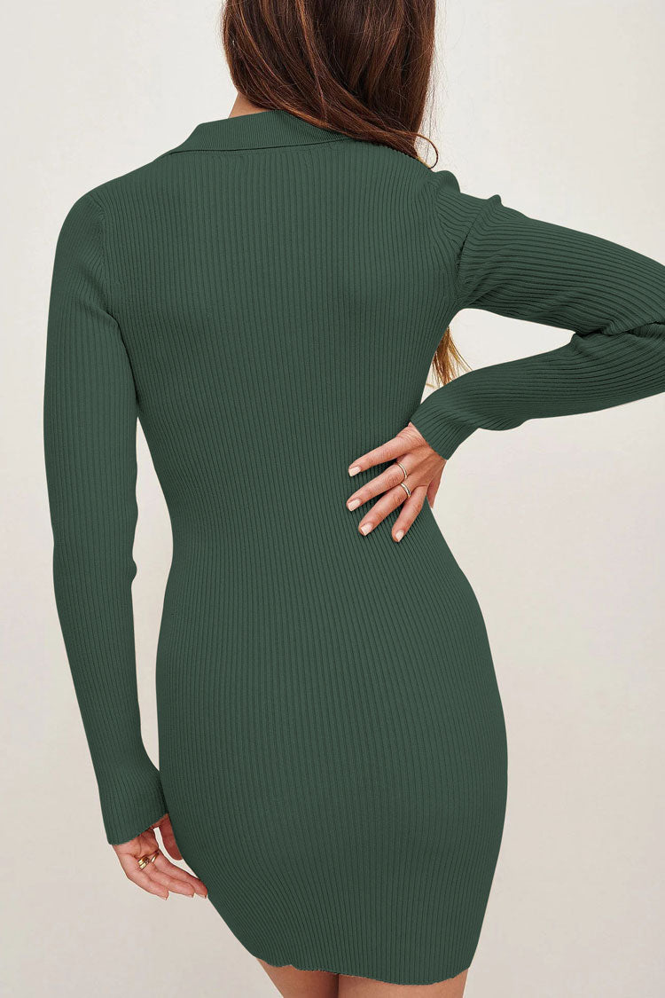 Chic High Neck Long Sleeve Bodycon Rib Knit Sweater Mini Dress